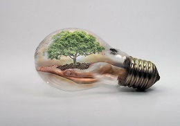 Bombeta amb arbre a dins